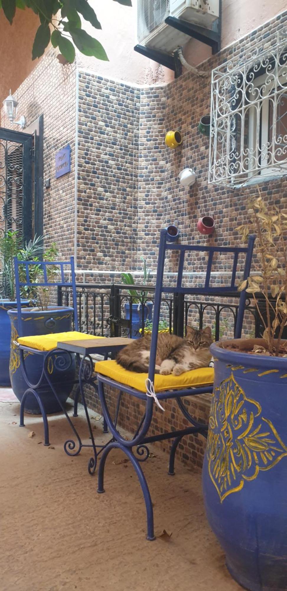 Riad Ramona Lqariya Seyaheya Marrakesh Eksteriør billede